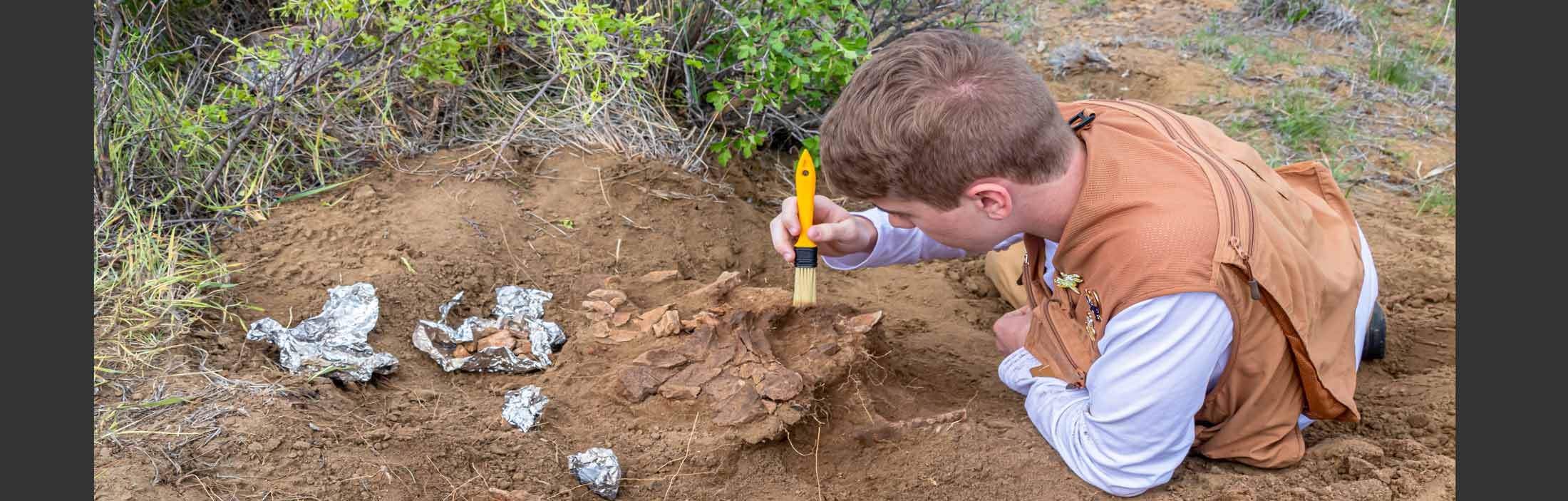 Digging Dinosaurs and Fossils