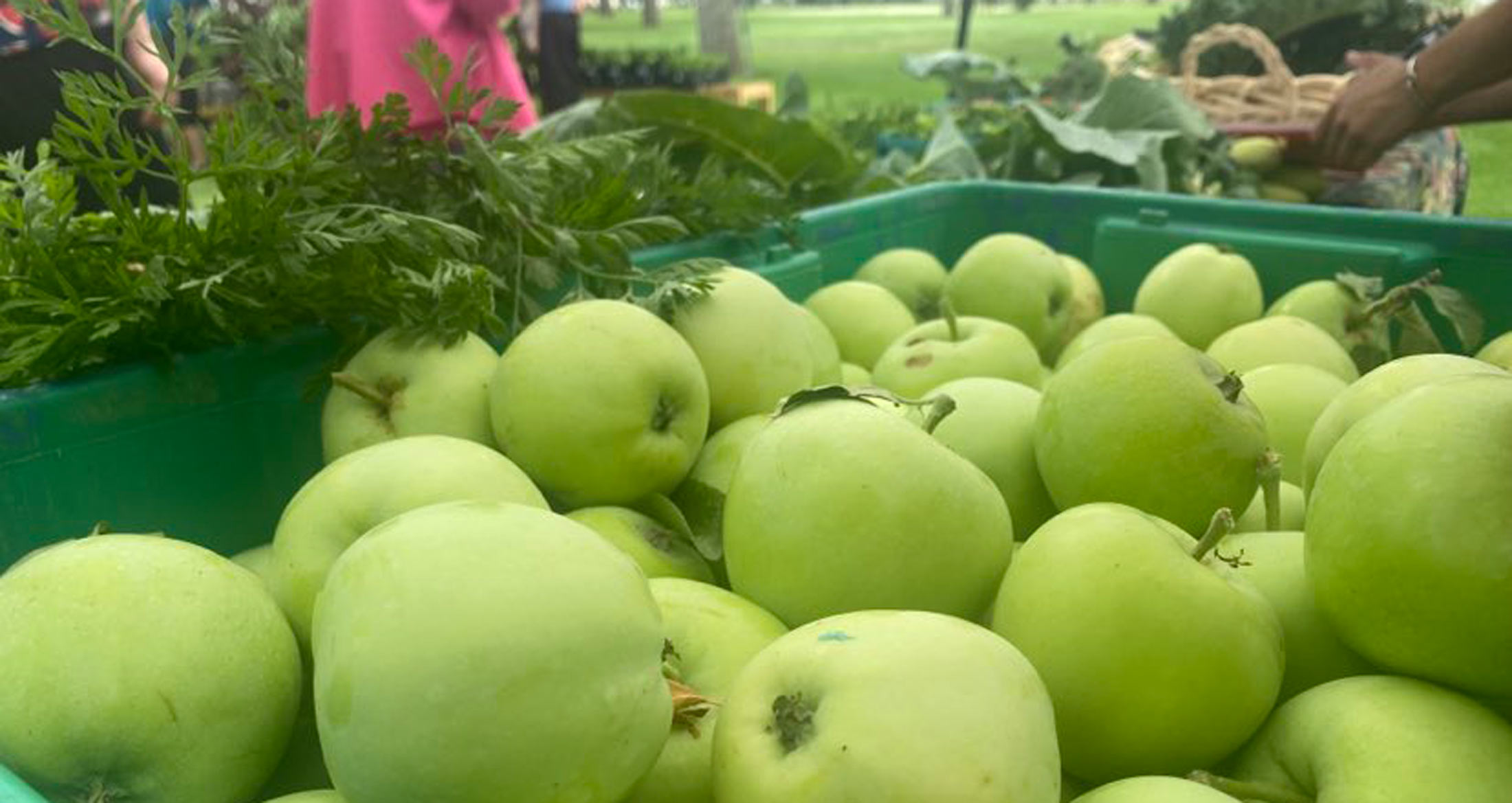 Farmers Markets Sell Fresh, Wholesome Goodness