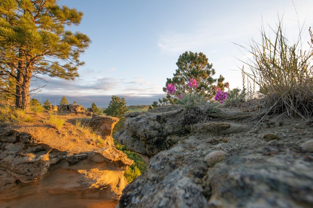 Medicine Rocks State Park, Southeast Montana